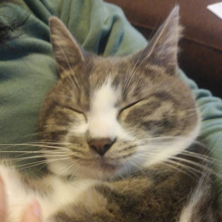 Acfd5f85 0e27 4935 9bce 62fbbe1607ad 1575936942209