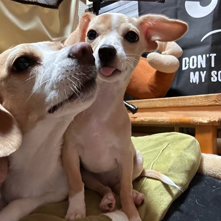 Acfd6944 beed 489b 8cea ebe98a8e7002 1666328523191