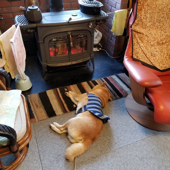 Acfd70e0 5717 4f2a 941b 82d4dd4fb4d8 1575157637231