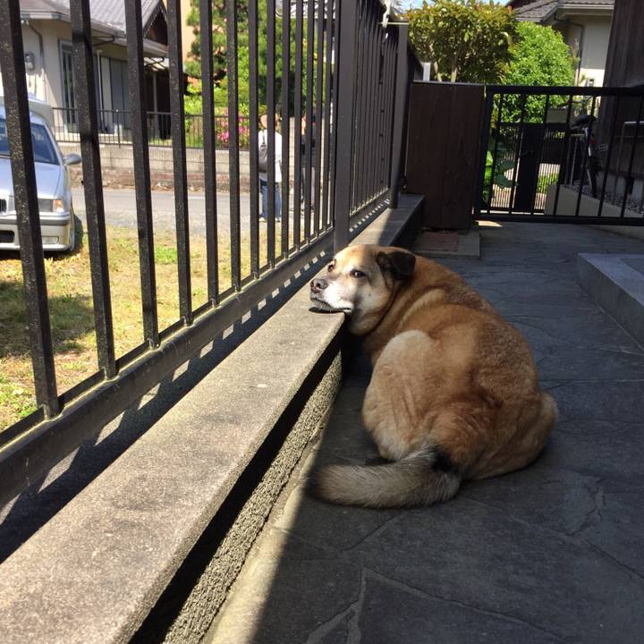 Acfd7e10 ba69 4ed8 bc11 091c71552599 1526278639807