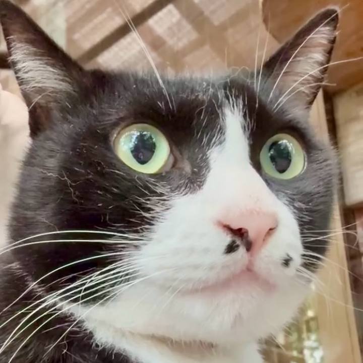 Acfd7f2a 5643 44ec a545 06d2e31cf547 1759456887436