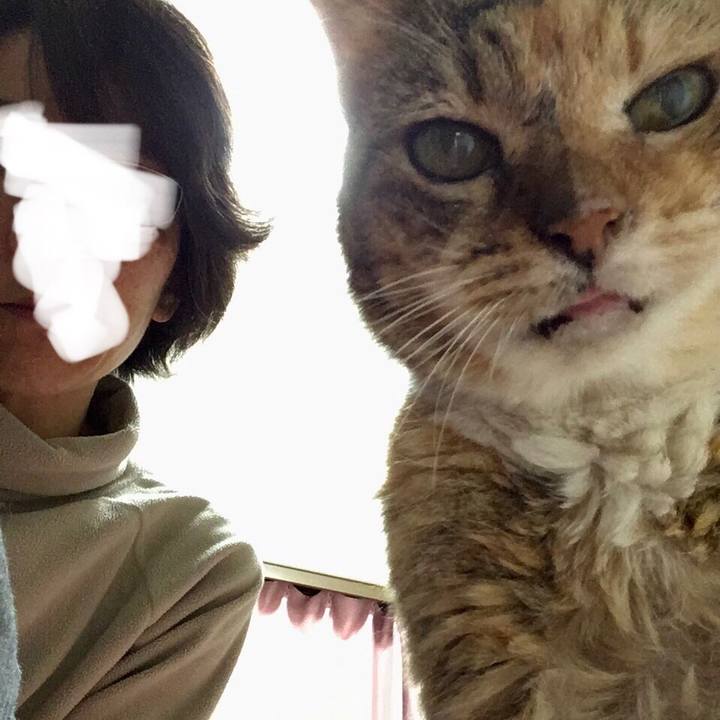 Acfd8361 ff3a 4c4b 8777 fe5a58ae1e3f 1578048553862