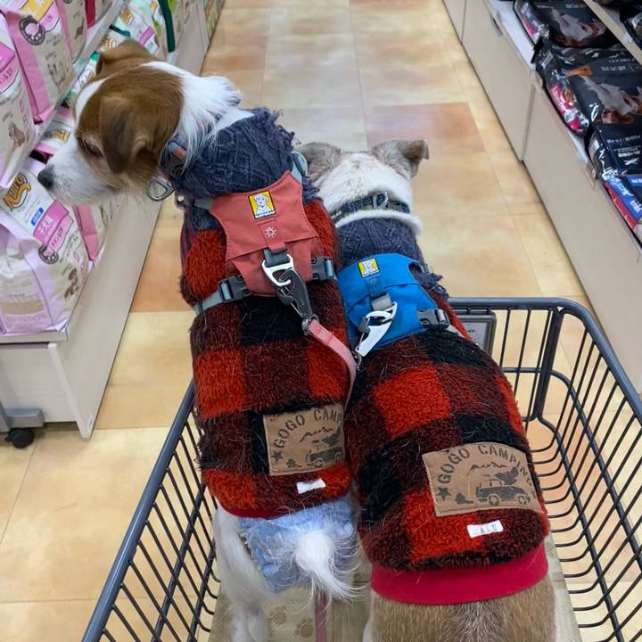 Acfdb314 125c 4325 99eb c1a4d670f0f5 1702793752678