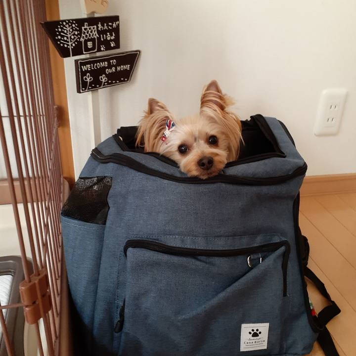 Acfdb7d9 999f 4cc6 b98d 0fcac989cd96 1581562995548