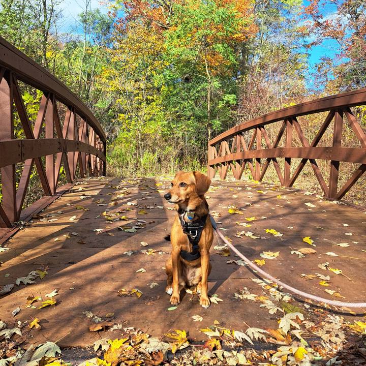 Acfe0cf8 ba75 442e 8dbf ea6ef1cc3cbd 1762637847203