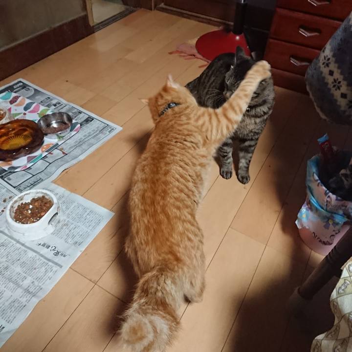 Acfe0d85 8923 4fec bf90 c7723c90df2d 1651613212789