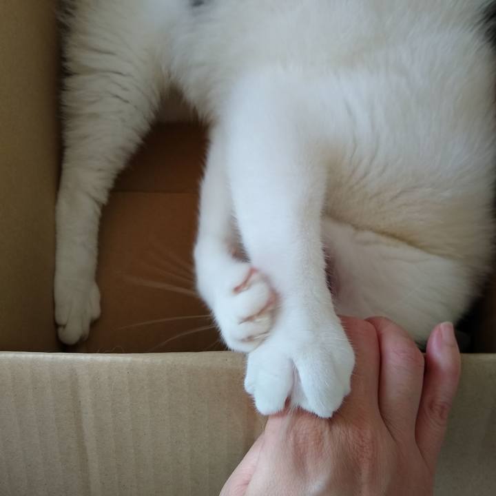 Acfe211e 4a21 4158 af1b 5ab465c54bfd 1568514314170