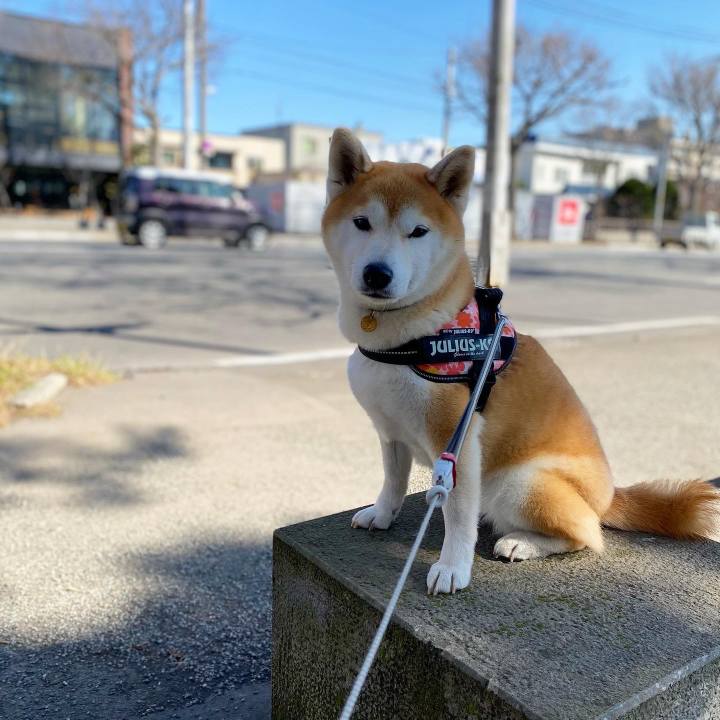 Acfe2fab 577c 48c6 9254 1ebcb29ca6ff 1617585004165