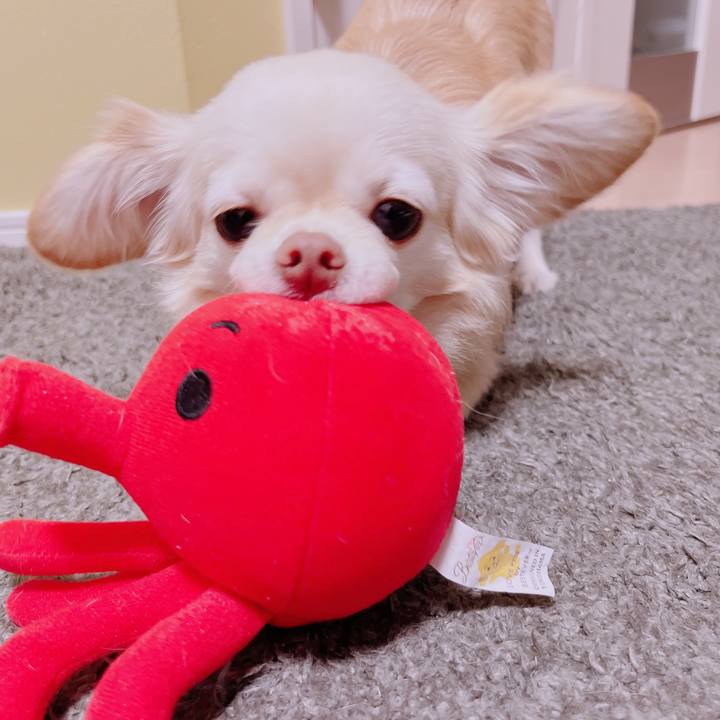 Acfe4b79 34c7 467b b2c0 0424b85913f3 1682047321793