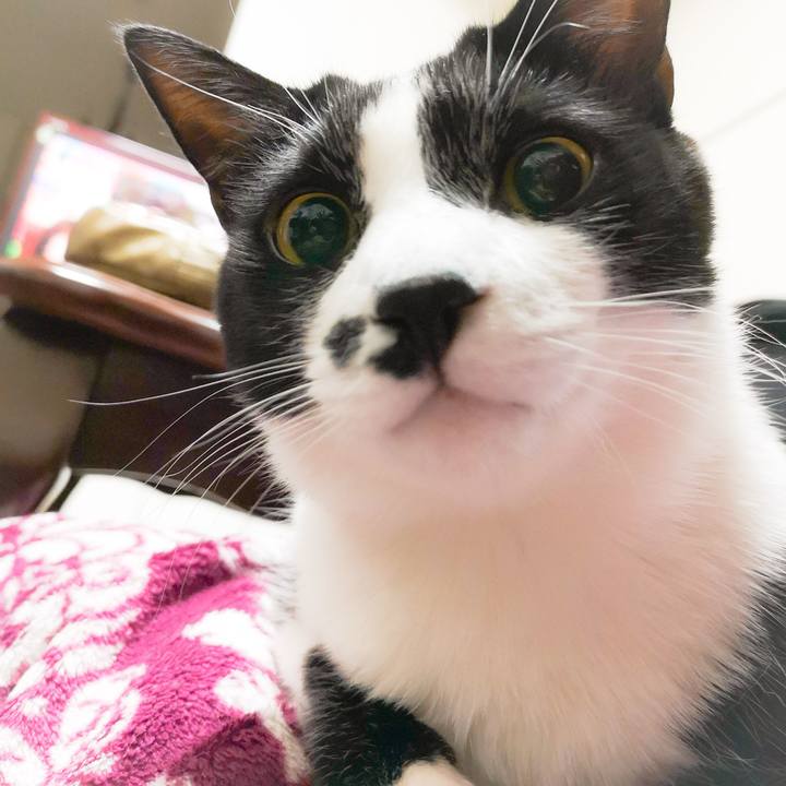 Acfe5e1a 7c96 4f24 8054 4c8ea6ba0001 1542550964219