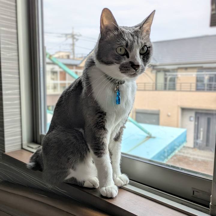 Acfe844d 96ad 4c6e 94a8 a48ffdb8e775 1760052906693