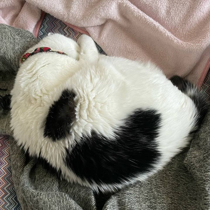 Acfeb9d2 69ef 4b88 863a fd6c1d0d0677 1642476423501