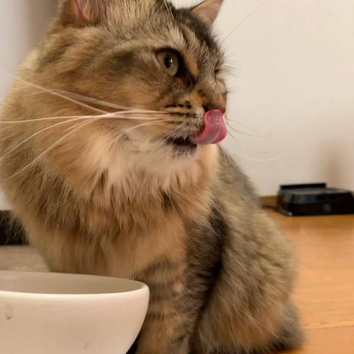 Acfeca96 84fb 44c0 91fe 5db516f3e8cf 1750287342949