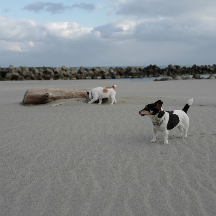 Acfeccfb f2a9 411b 9063 f26317ccd574 1520828181435