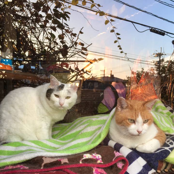 Acff12ef ae9d 4b31 ab6c bfa8674c5004 1605857101054