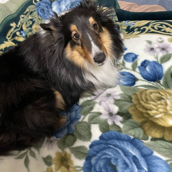 Acff72f1 7413 4fd2 aa58 c0ccba6959cf 1614544743472