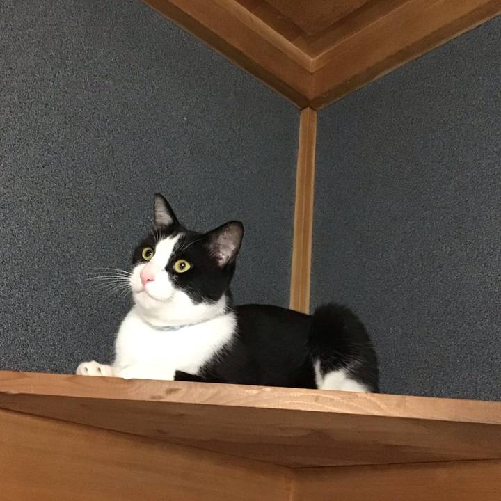 Acff9890 6f5c 4027 9cf4 4e4b866a9053 1687179118813