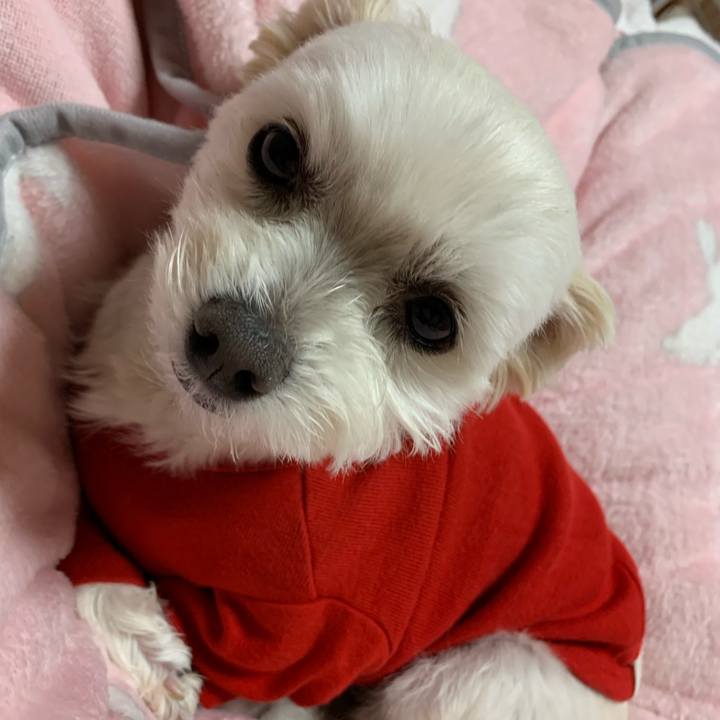 Acff9b42 bdc5 4d8b 8222 abed8ed25ba3 1578912143514