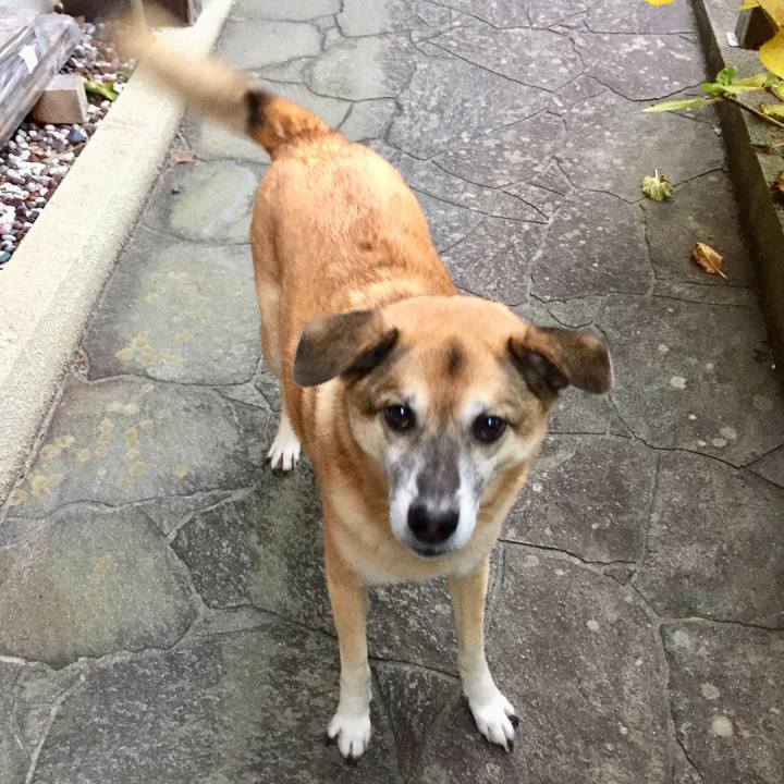 Acffa8dc 7851 45c0 b3ad f80a216f63cf 1576057722205