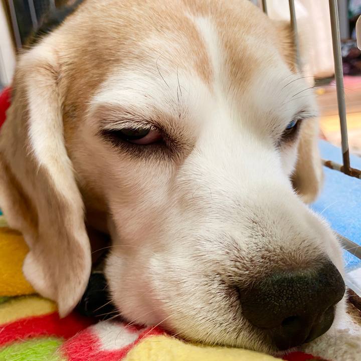 Ad000717 c1cb 47bd 9b21 fa92d1e3f04a 1586323268218