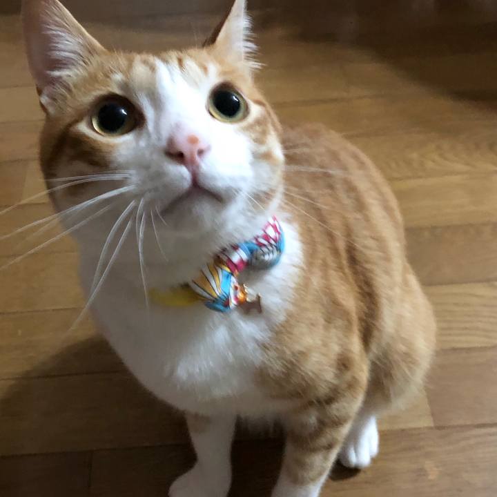 Ad000ac0 4b3c 4ea6 8816 1185cc7d9331 1561031921943