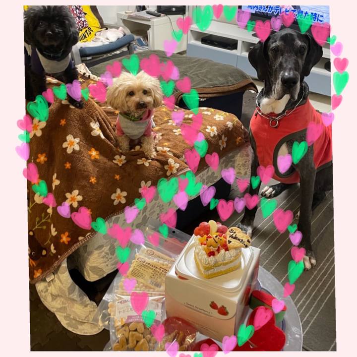 Ad001649 5906 4533 8b78 6d82a02d949b 1613302152746