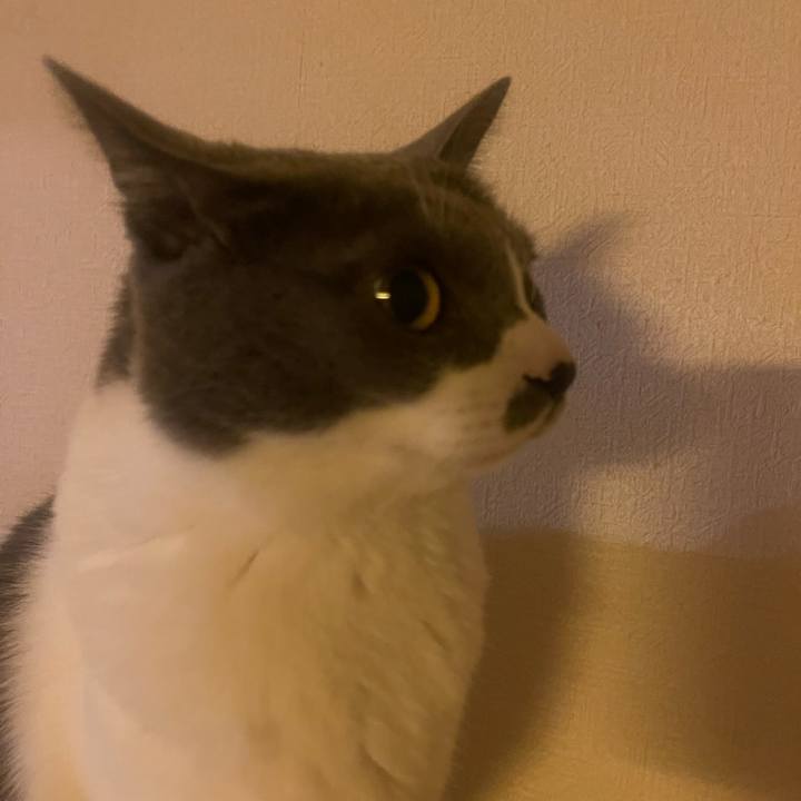 Ad004150 c8f6 428b 8054 c64b88420242 1733480272514