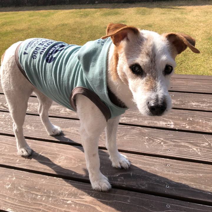 Ad0048aa 9d7d 406f bda2 edda9dc01422 1522804528672