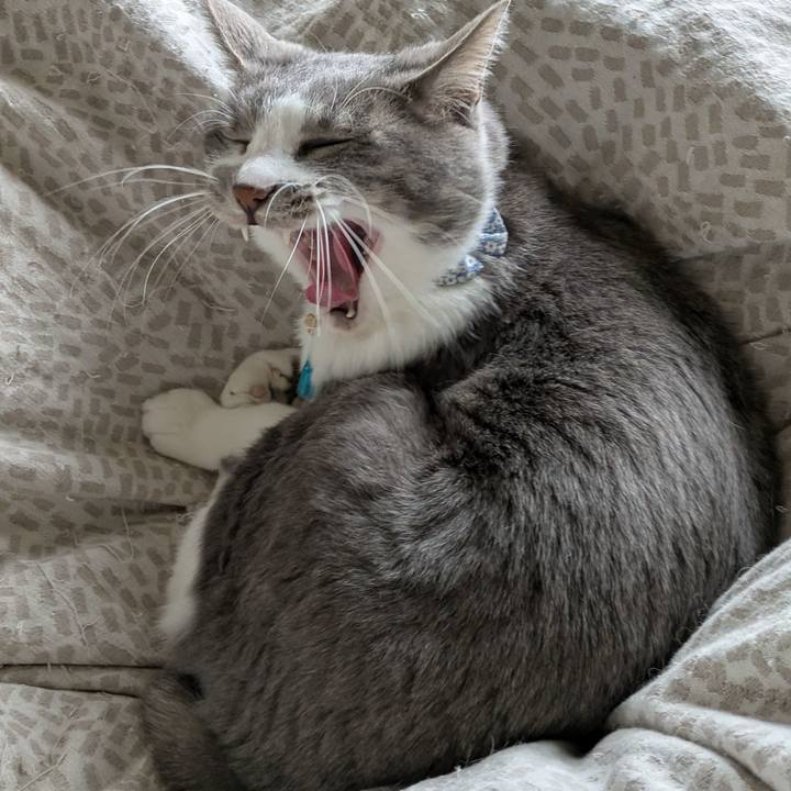 Ad005ff3 f1fb 4bd6 a94b bb91fa95424a 1741410989229