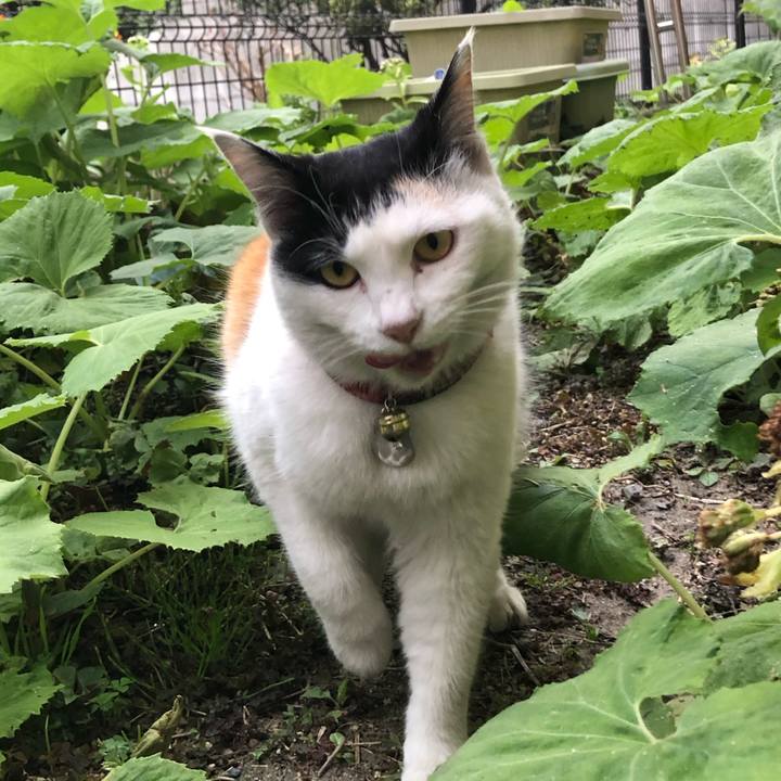 Ad00b2a5 080d 4548 89db 26333886f42e 1616365187217