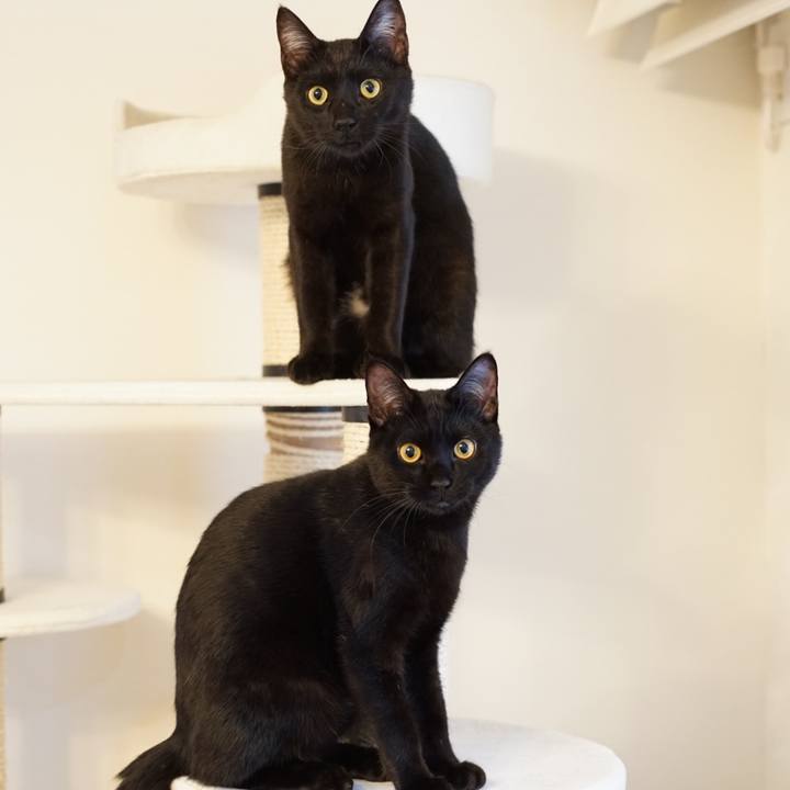 Ad00fc75 6433 4479 8af2 7ad15f26277c 1513726310347