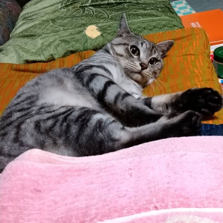 Ad0101df 3f45 4723 8dde 0adee2f8f89f 1662645414146