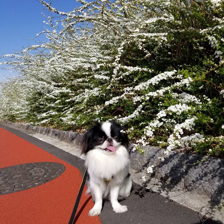 Ad015fcf 9fb1 480e ad9d edf12cbbfefa 1647851664523