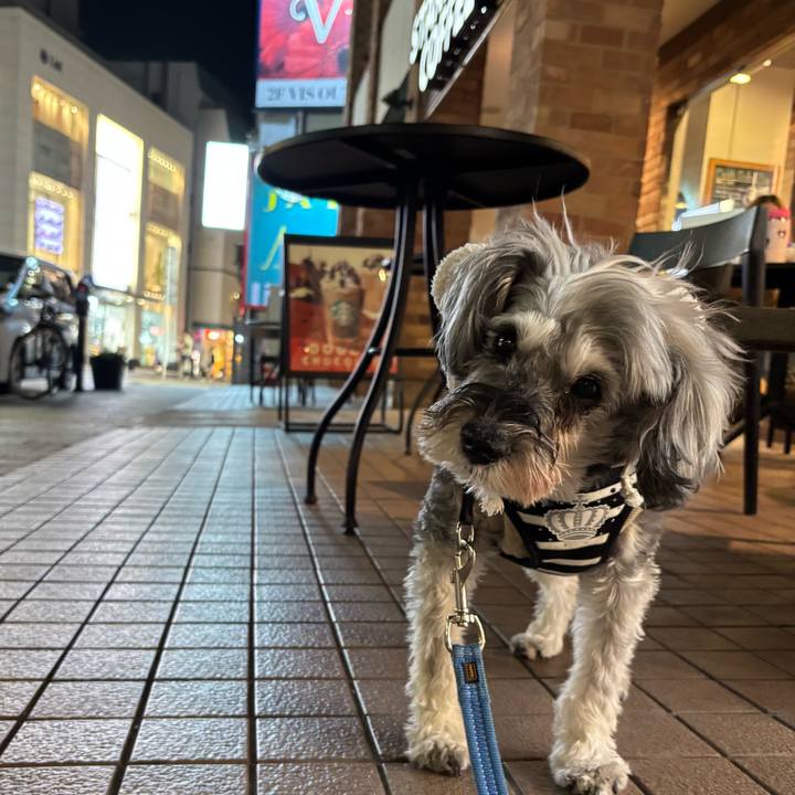 Ad0189dd 51c3 456b a460 f6d6ff41b30a 1763985136319