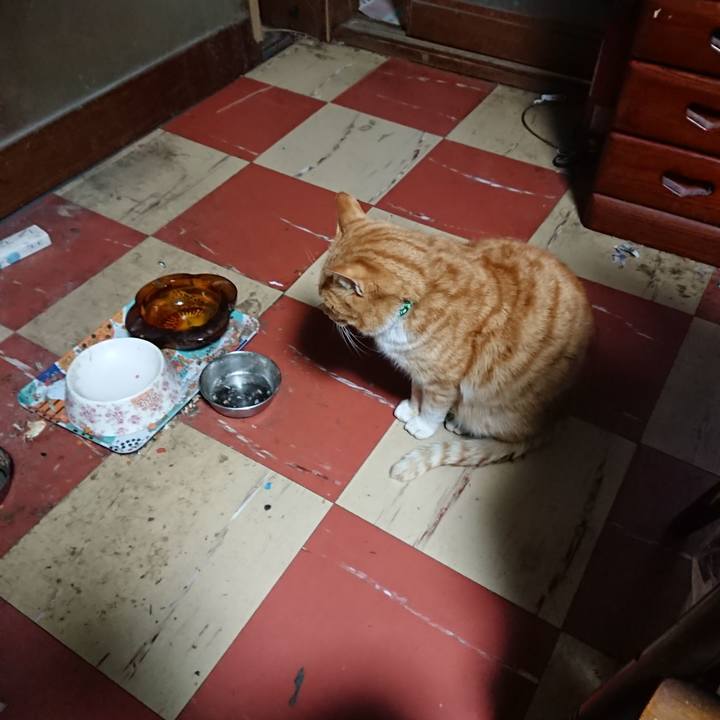 Ad01d35a a75c 4a87 a7b2 e497aa41623e 1582055490190