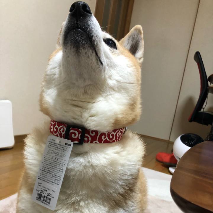 Ad01d534 f7a1 43a0 9260 4054bfa9f701 1587625366587