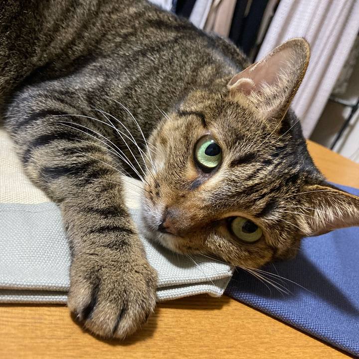 Ad01dcb8 4c6a 456b 88f2 71ebfa566ffe 1689172266084