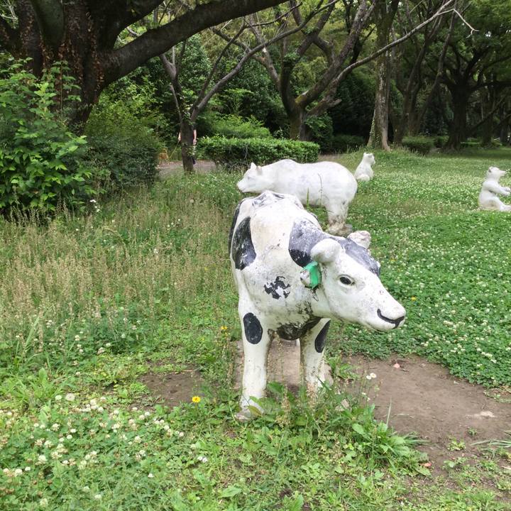 Ad01e000 867a 4bfd 9852 f77c57e40ca3 1623041687508