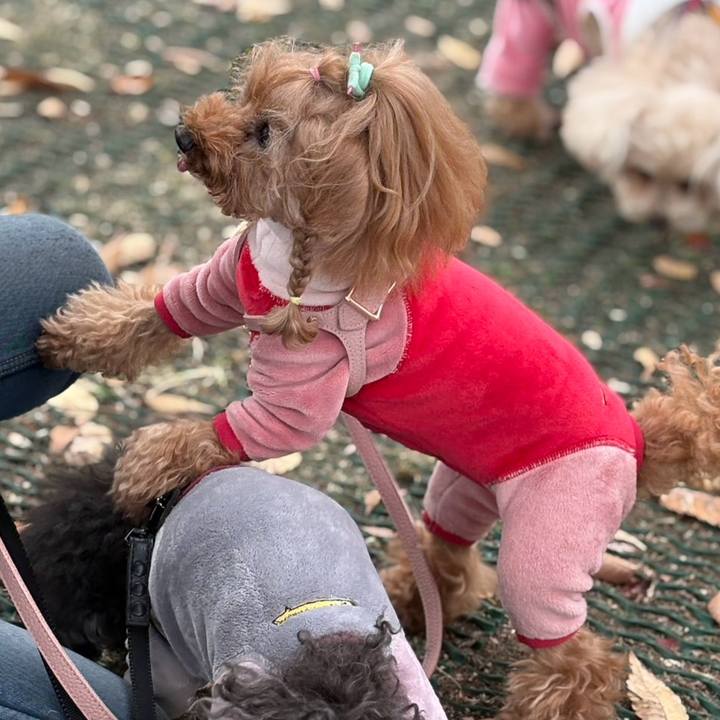 Ad01e29c baff 462b a3af 1be36f68e9dd 1763507794955