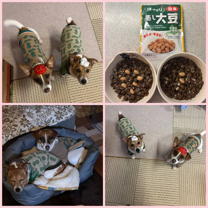 Ad01e426 2078 44f6 9947 d210069be1db 1738489109590