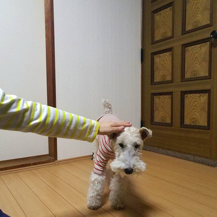 Ad023362 0c39 4d93 aadc 0f7a1199faea 1521032164430