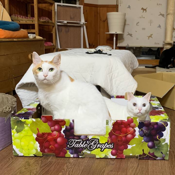 Ad023725 ceb0 4950 a8e3 0d0b9d7964af 1655126430968