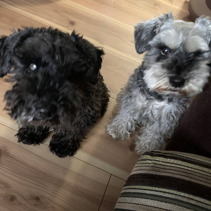 Ad028598 adc7 4be9 aca9 ad1ad011ae8f 1651107470470