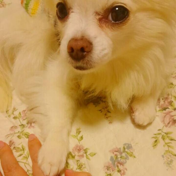 Ad02a7cf 1d36 4709 b65c 40b1851b57ca 1522234239418