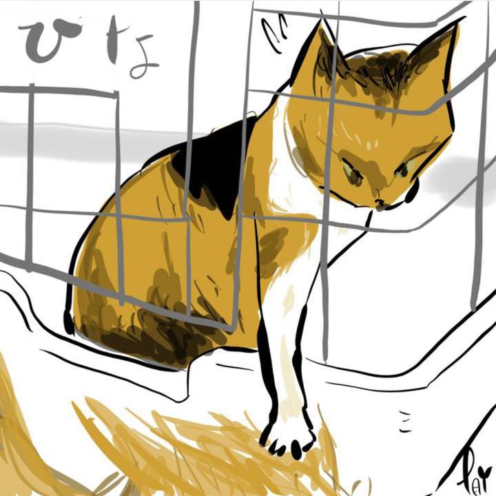 Ad02acb8 fee8 4854 876d ff1d16a9bcb5 1658205089757