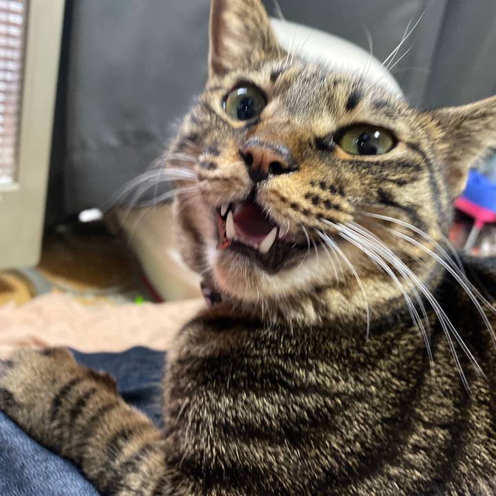 Ad02d580 5483 4207 907c 29fdcad8253b 1575503797443