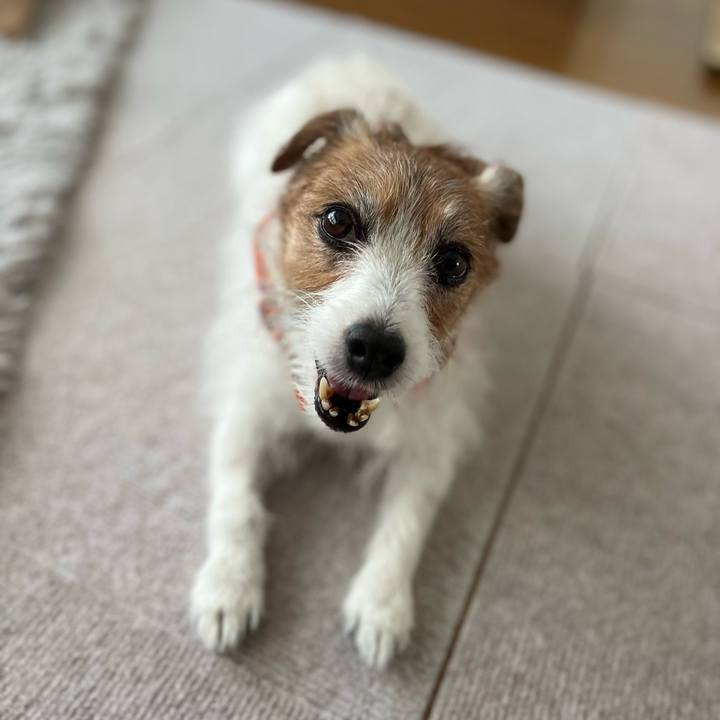 Ad02dc69 5927 46de a0c4 e2e4a40de801 1698410493972