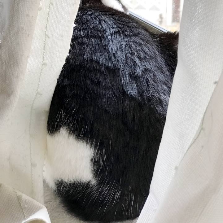 Ad0329d9 f9ee 4d75 8f09 9a0a6c734f0f 1526270799911