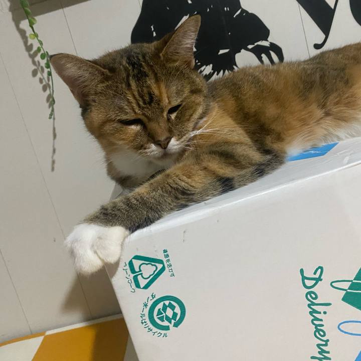 Ad03d827 ea4f 4374 8dd9 1fda4a35fa67 1758985466361