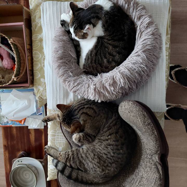 Ad03ef5c 2037 4b0e 8398 2a7b26973a01 1744840400026